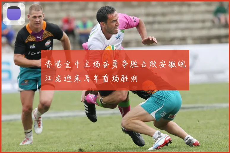 香港金牛主场奋勇争胜击败安徽皖江龙迎来马年首场胜利