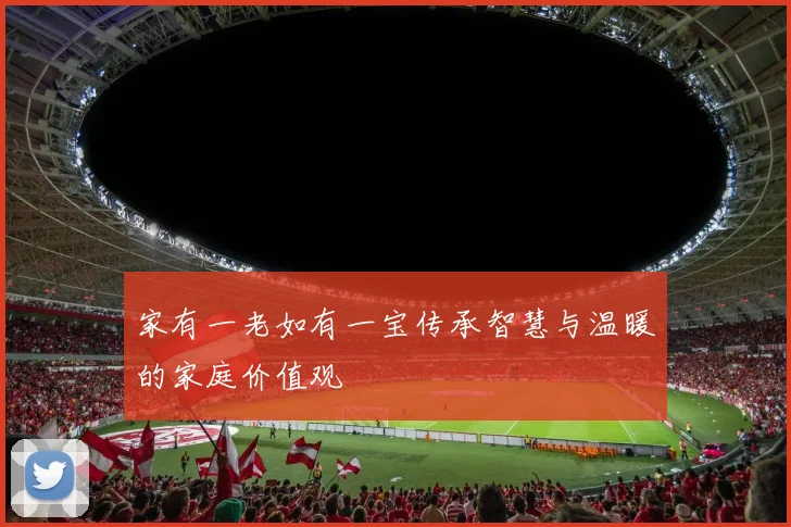 家有一老如有一宝传承智慧与温暖的家庭价值观